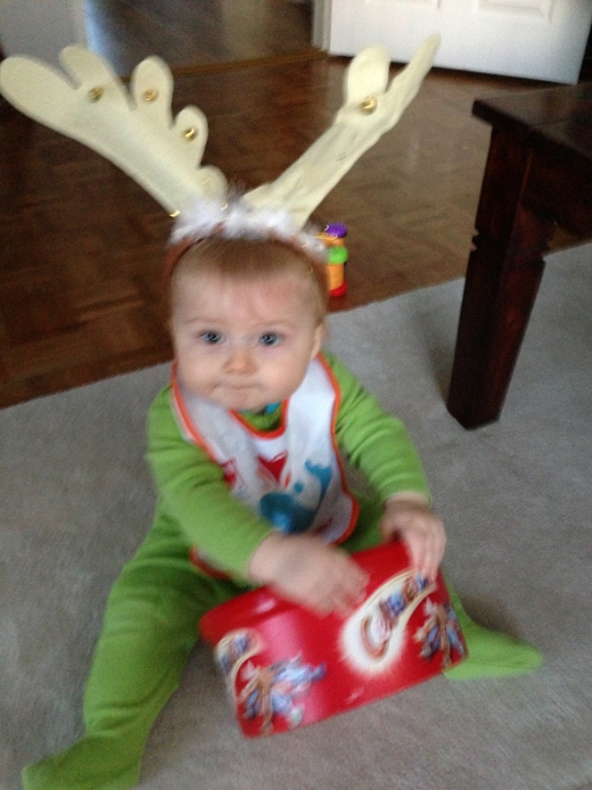 2012-12-16 15.04.16 I'll wear the silly antlers if I can just get into this box.