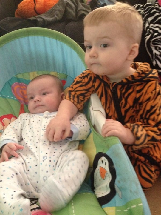 2013-12-12 12.10.00 Hello Alby, I'm a tiger today