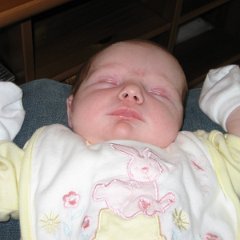 Amelie 045