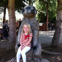 Amelie 227