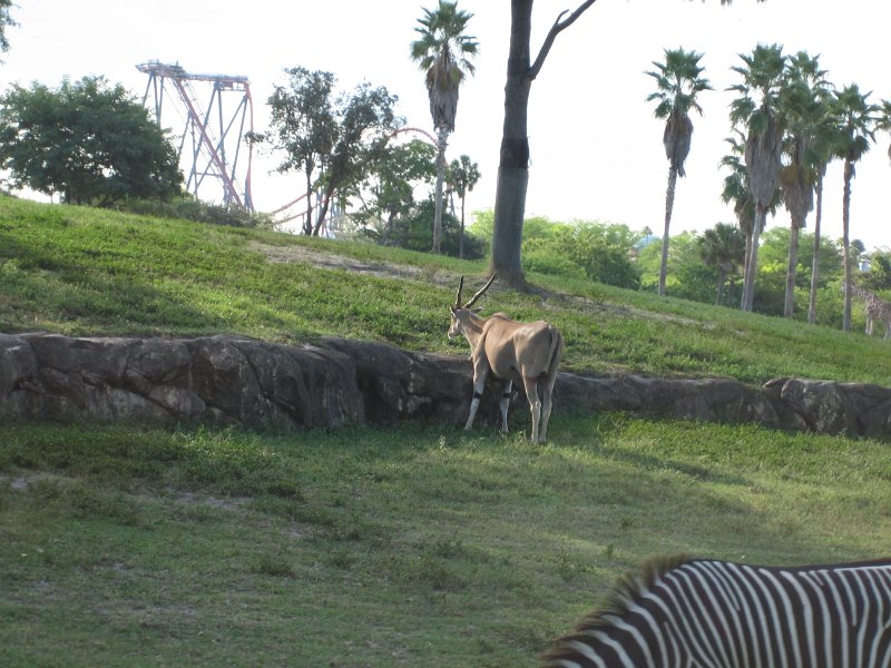 Florida2009 120