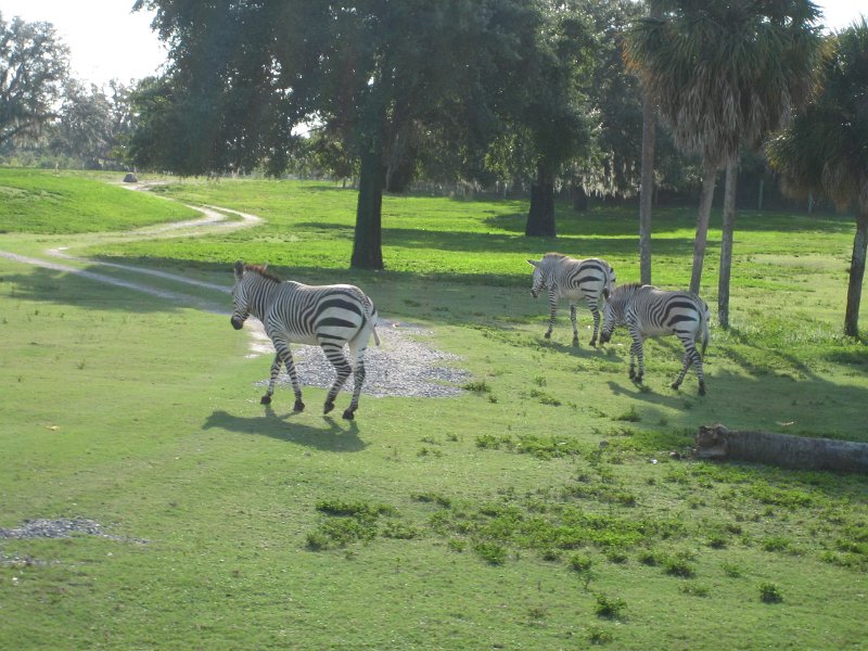 Florida2009 123