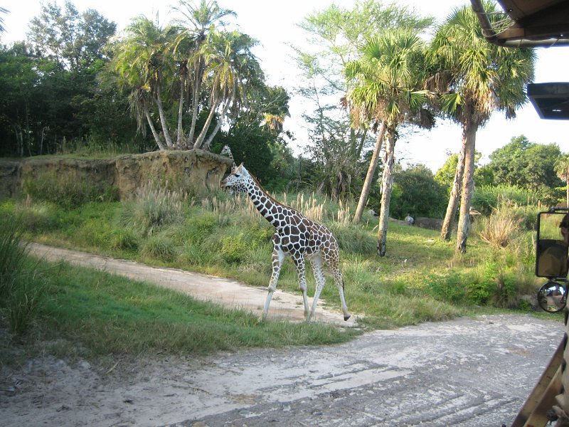 Florida2009 187