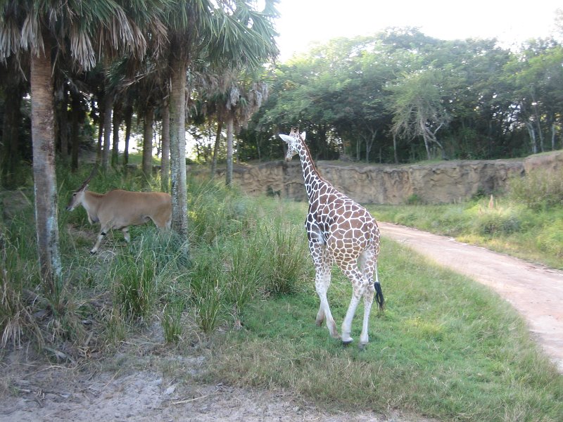 Florida2009 188