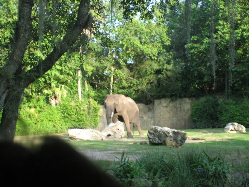 Florida2009 191