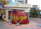 Florida2009 067.jpg