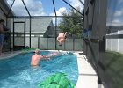 Florida2009 135.jpg