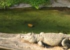 Florida2009 182.jpg