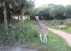 Florida2009 188.jpg