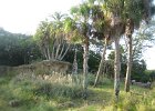 Florida2009 189.jpg