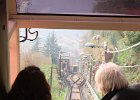 IMG 5803
