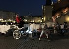 IMG 5582